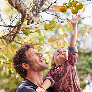 Man lifting child to pick apples