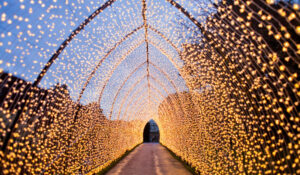 Light tunnel at botanical gardens