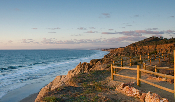 Torrey Pines trail