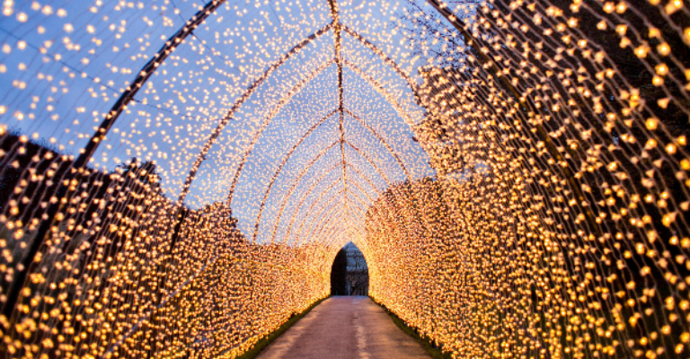 Botanical Gardens Lightscape
