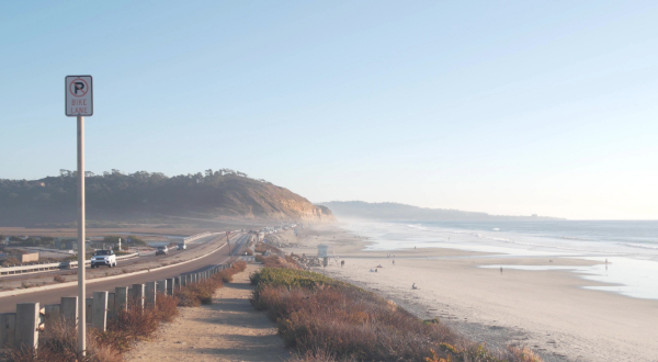 Torrey Pines road