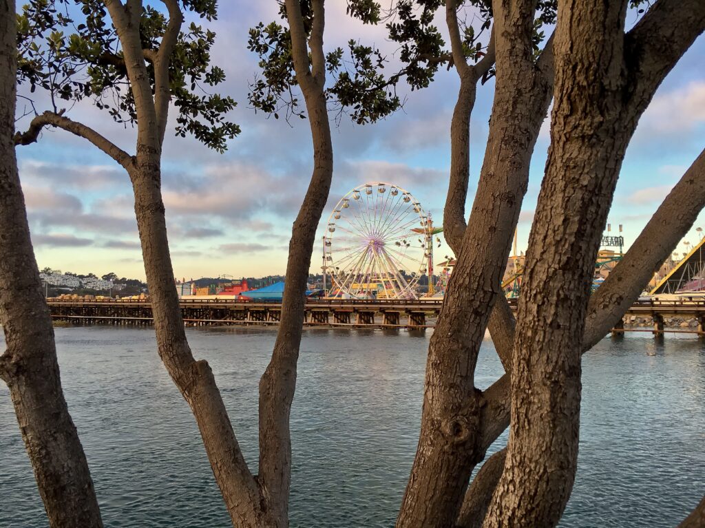 Scenic view of county fairgrounds with amusement rides looking through trees, San Diego, California, USA