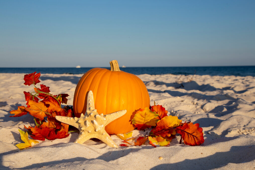 Pumpkin and fall leaves by the beach